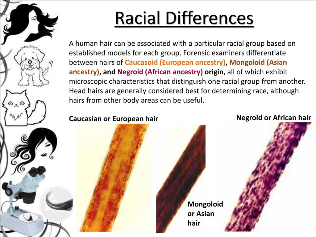Human hair microscopic characteristics cheap